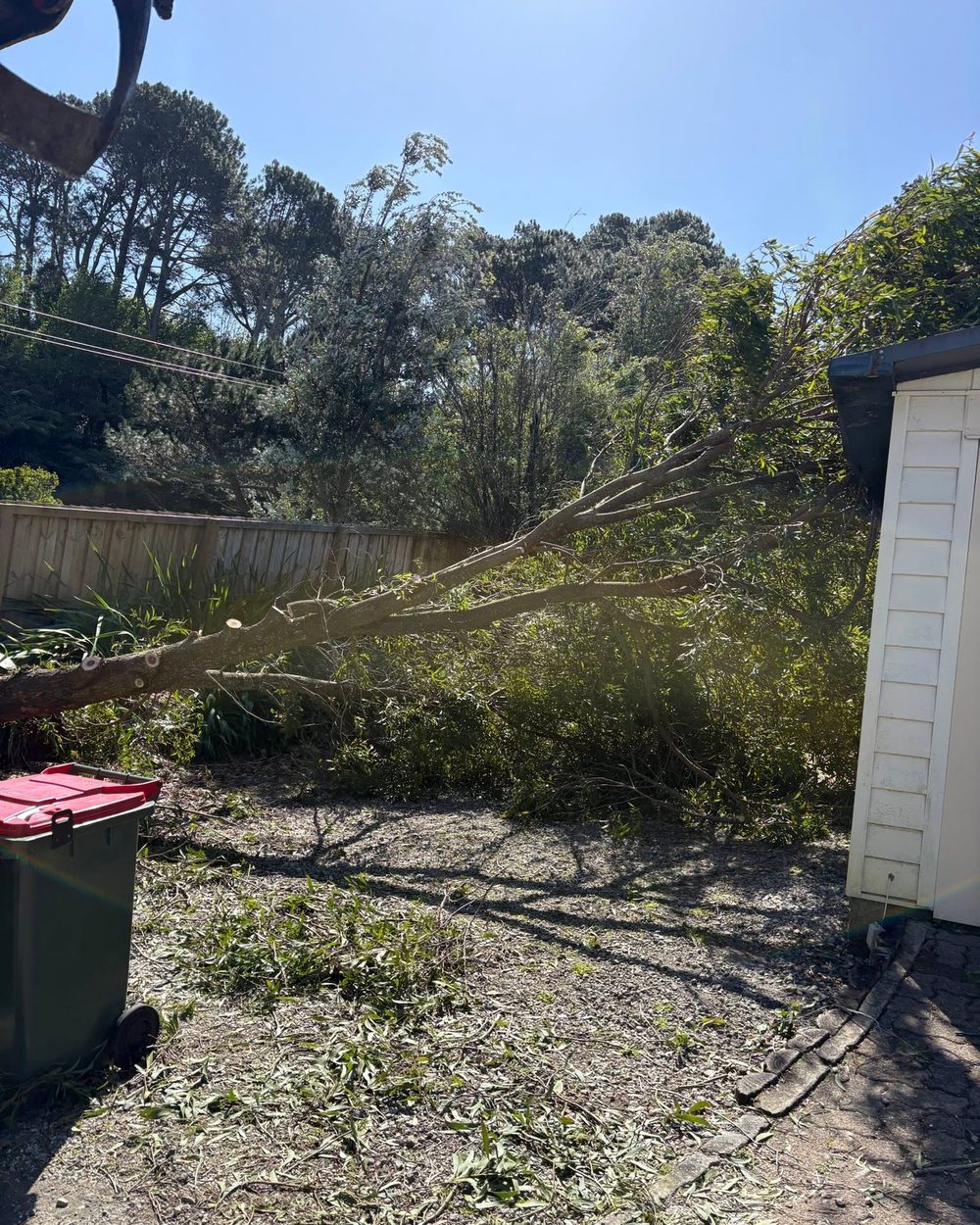 Hedging & Orchard Maintenance