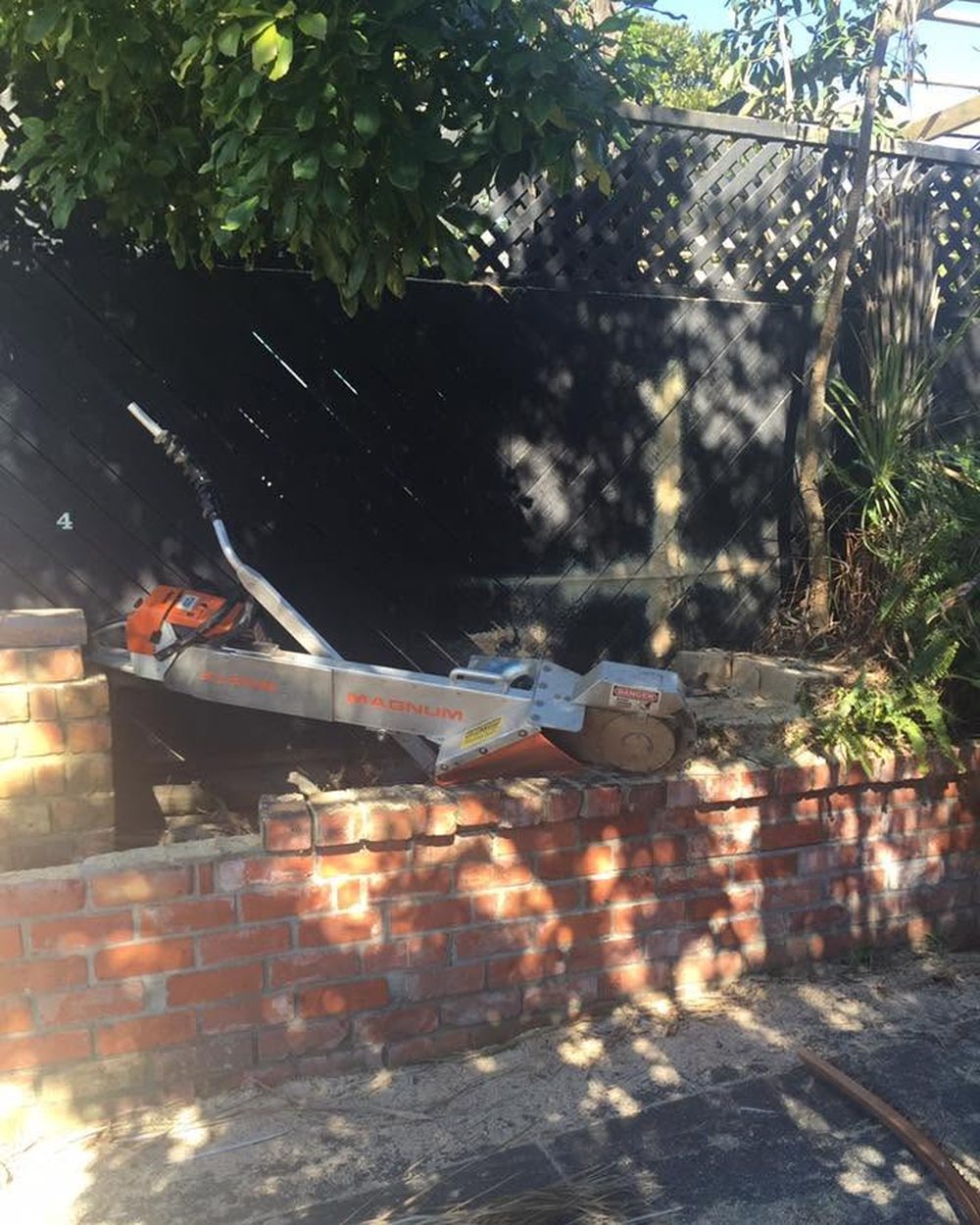 Tree & Palm Removal