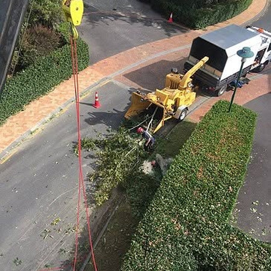 Aerial view of a chipper and crew at work