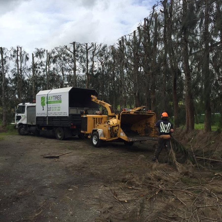 Feeding branches into the wood chipper