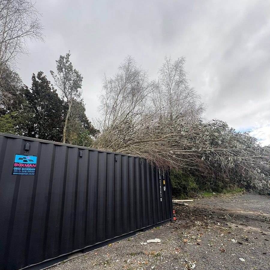 Branches loaded for removal