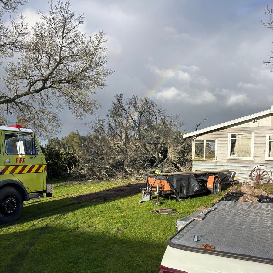 Storm-damaged tree cleanup