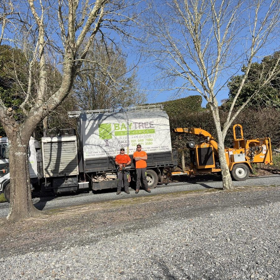 Caleb and Cody beside the Bay Tree Services truck