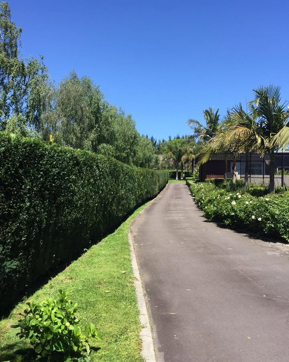 Hedging & Orchard Maintenance