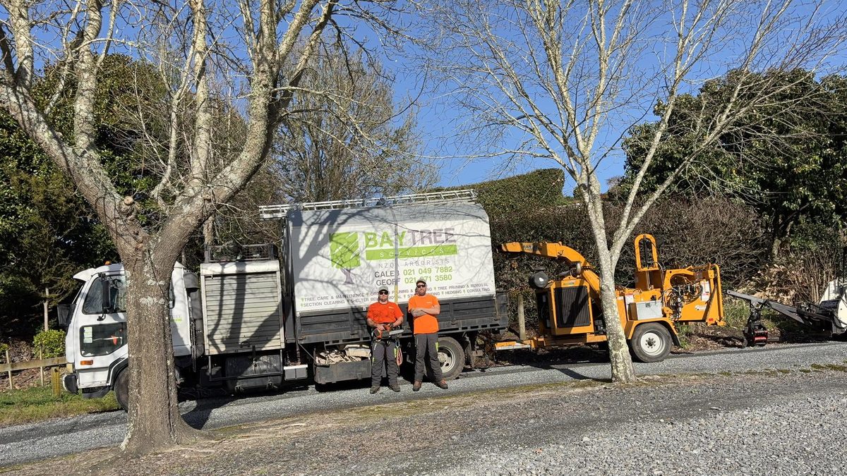Bay Tree Services crew with their truck and stump grinder in Tauranga