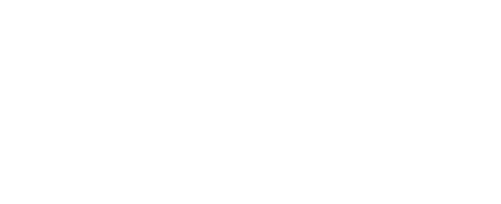 Bay Tree Services