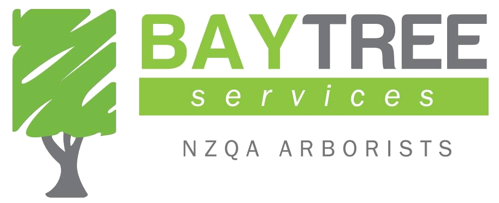 Bay Tree Services