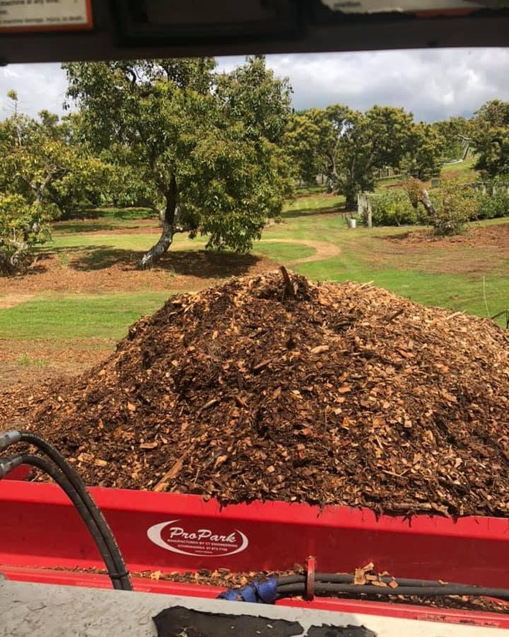Mulching & Site Clean-up