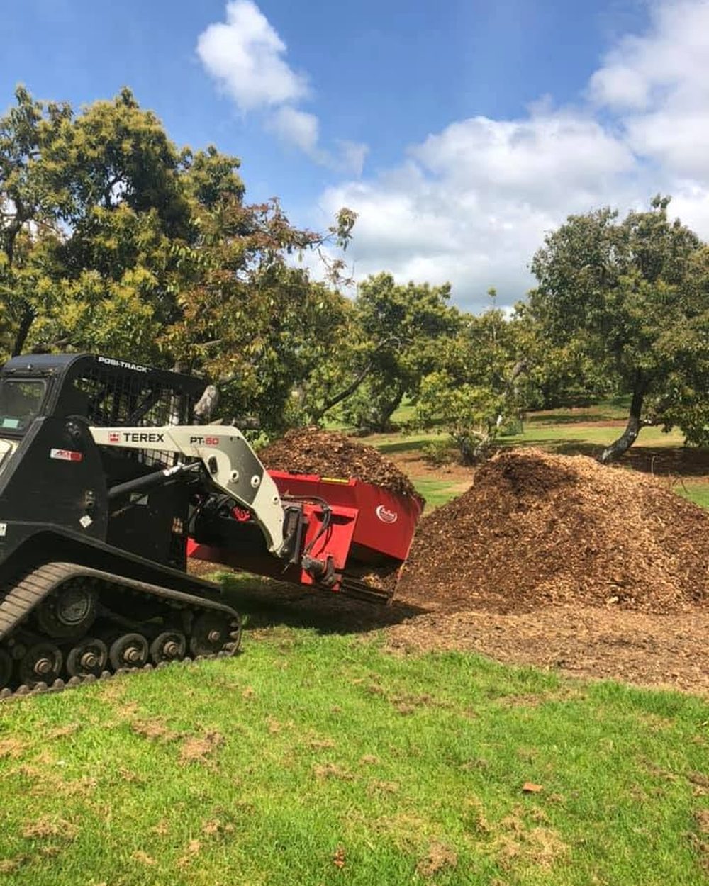 Stump Grinding