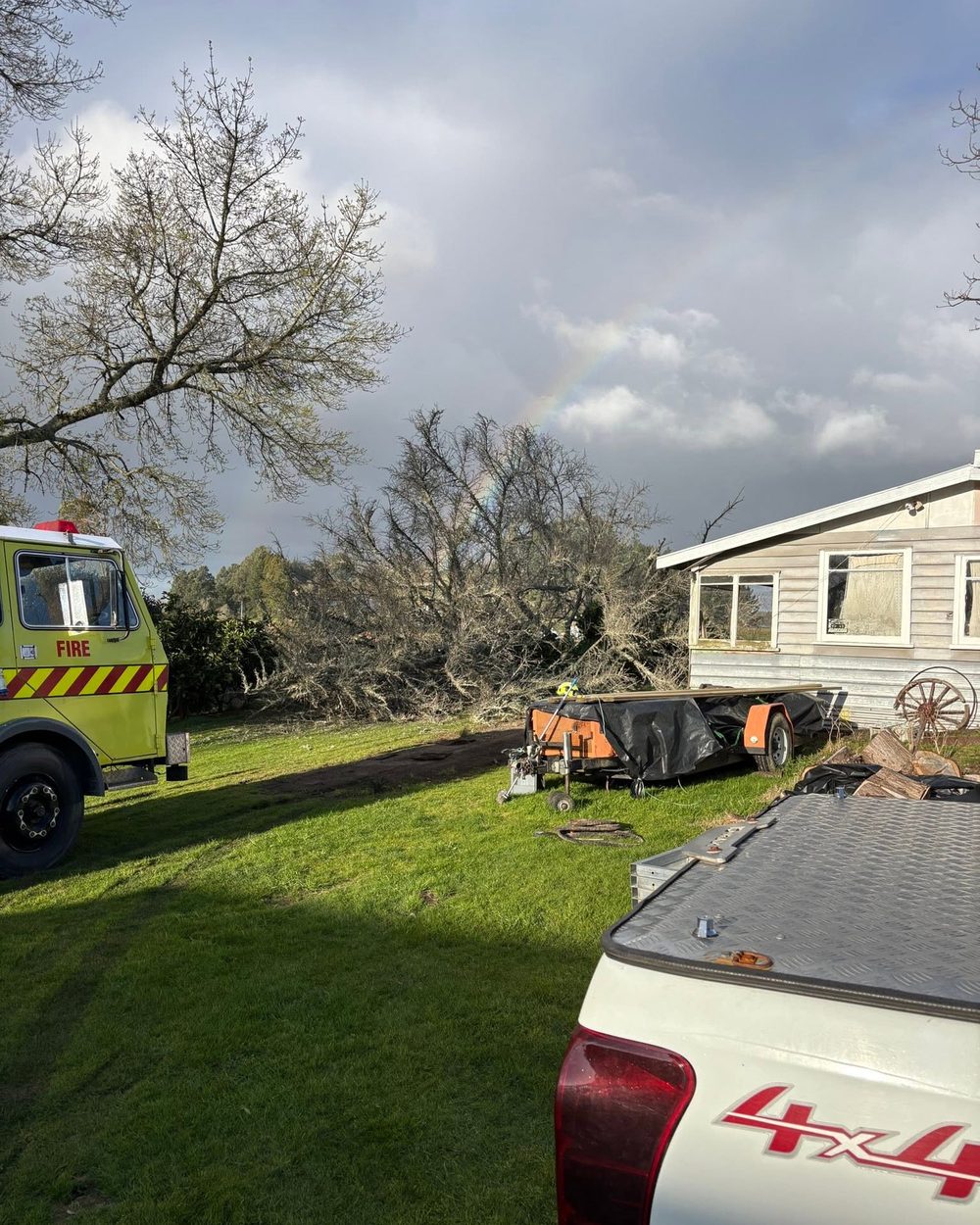 Storm & Emergency Tree Work